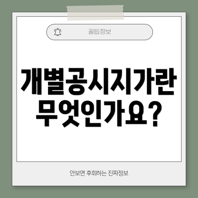 개별공시지가란 무엇인가요?