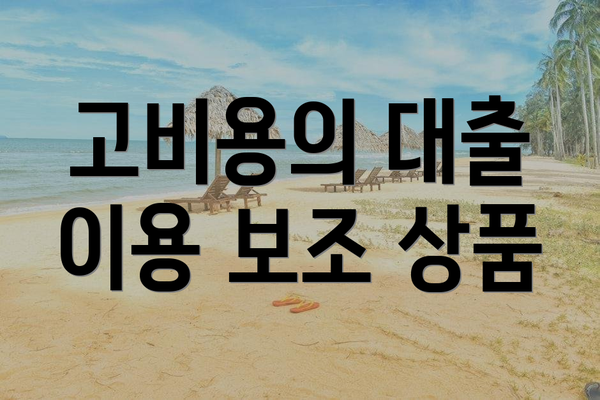 고비용의 대출 이용 보조 상품