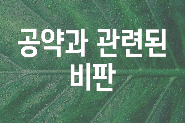 공약과 관련된 비판