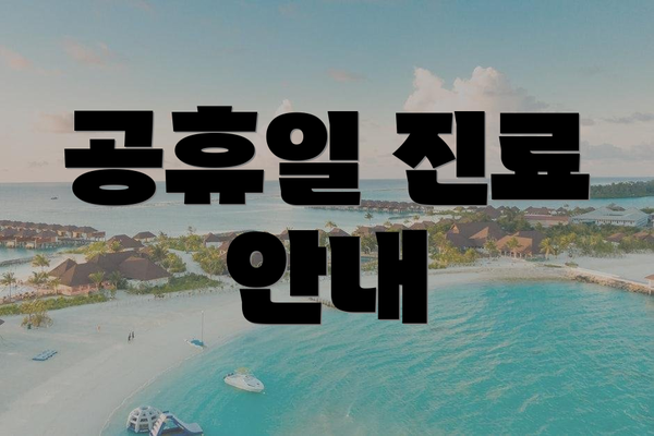 공휴일 진료 안내