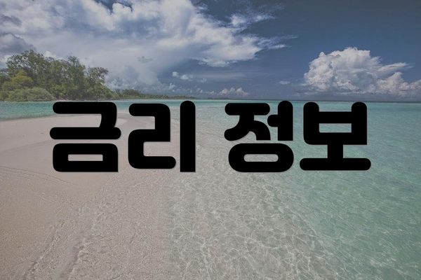 금리 정보