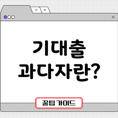 기대출 과다자란?
