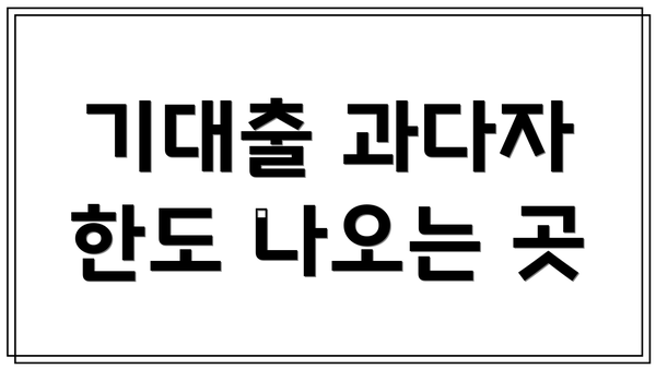 기대출 과다자 한도 나오는 곳