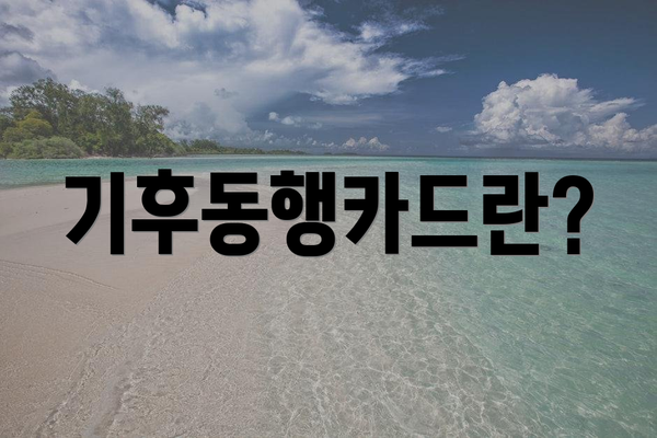 기후동행카드란?