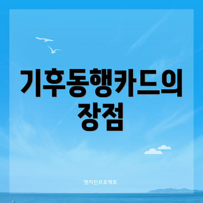 기후동행카드의 장점