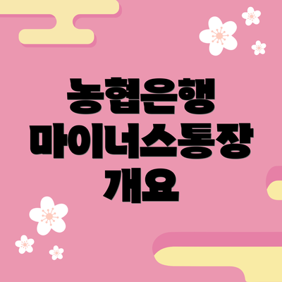 농협은행 마이너스통장 개요