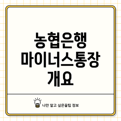 농협은행 마이너스통장 개요