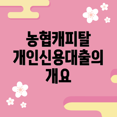 농협캐피탈 개인신용대출의 개요