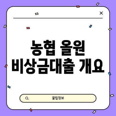 농협 올원 비상금대출 개요
