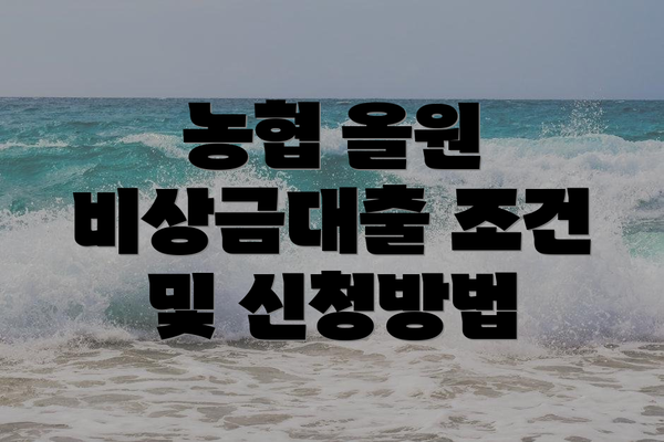 농협 올원 비상금대출 조건 및 신청방법