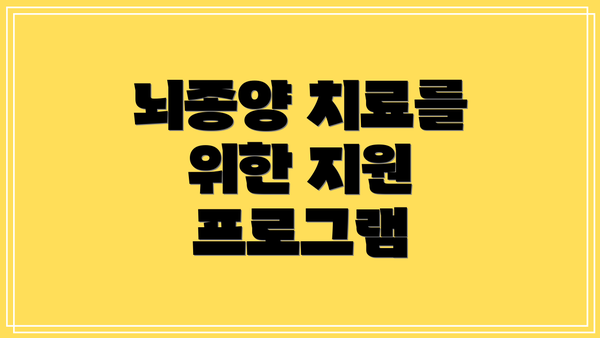 뇌종양 치료를 위한 지원 프로그램