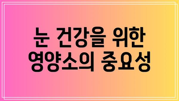 눈 건강을 위한 영양소의 중요성