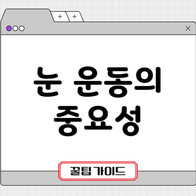 눈 운동의 중요성