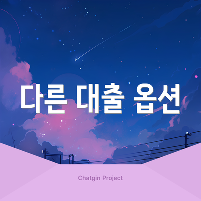 다른 대출 옵션