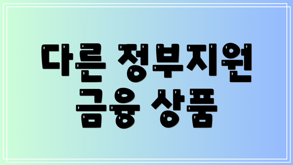 다른 정부지원 금융 상품