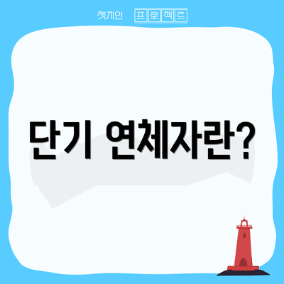 단기 연체자란?