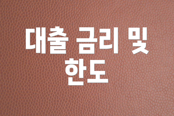 대출 금리 및 한도