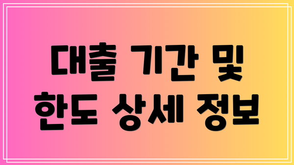 대출 기간 및 한도 상세 정보