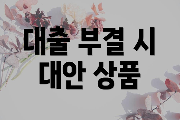 대출 부결 시 대안 상품