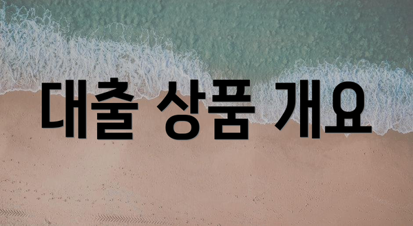 대출 상품 개요