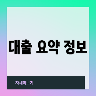 대출 요약 정보