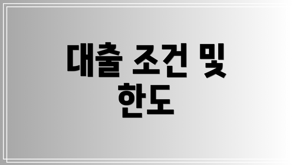 대출 조건 및 한도