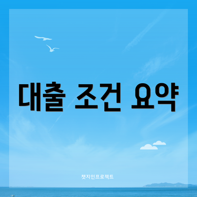 대출 조건 요약