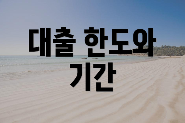 대출 한도와 기간