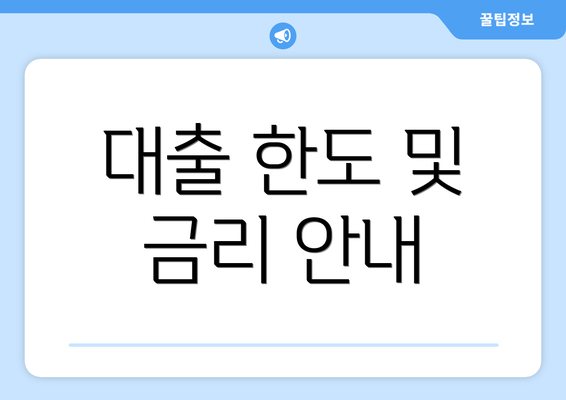 대출 한도 및 금리 안내