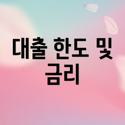 대출 한도 및 금리