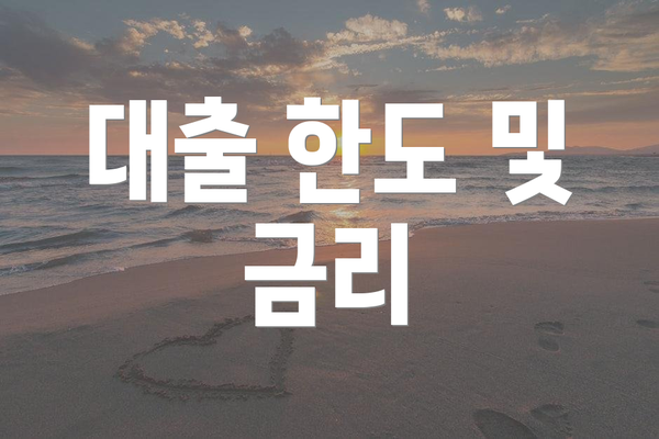 대출 한도 및 금리
