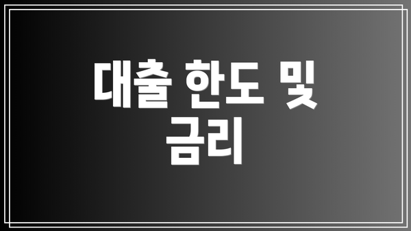 대출 한도 및 금리