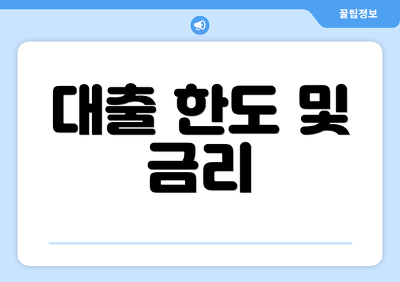 대출 한도 및 금리