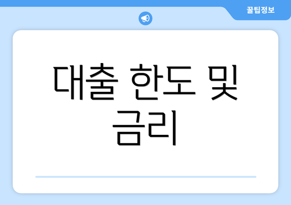 대출 한도 및 금리