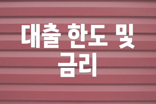 대출 한도 및 금리