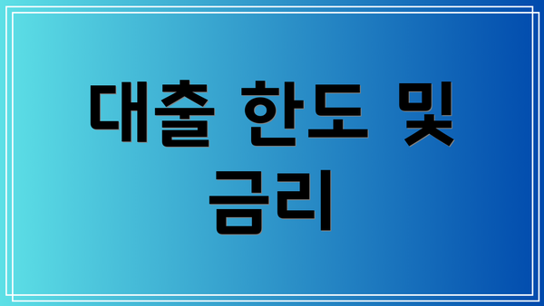대출 한도 및 금리