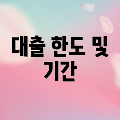 대출 한도 및 기간