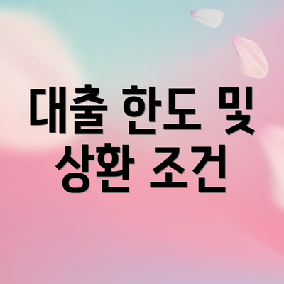 대출 한도 및 상환 조건