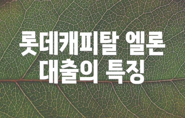 롯데캐피탈 엘론 대출의 특징