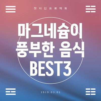 마그네슘이 풍부한 음식 BEST3