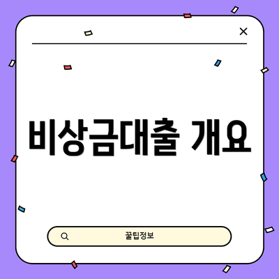 비상금대출 개요