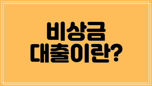 비상금 대출이란?