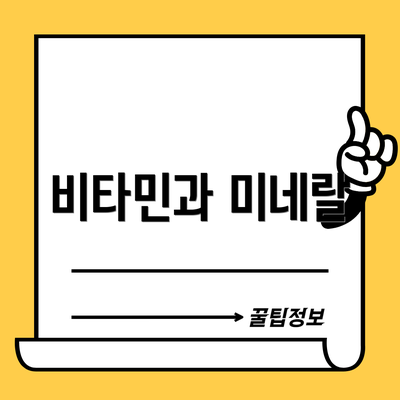 비타민과 미네랄