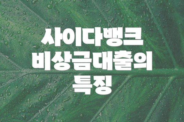 사이다뱅크 비상금대출의 특징