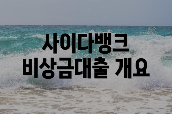 사이다뱅크 비상금대출 개요