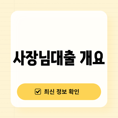 사장님대출 개요