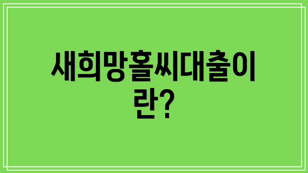 새희망홀씨대출이란?