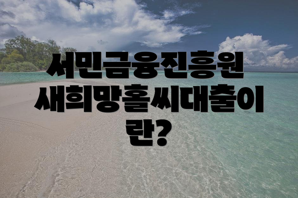 서민금융진흥원 새희망홀씨대출이란?