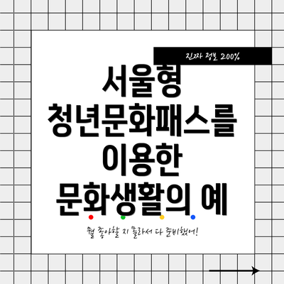 서울형 청년문화패스를 이용한 문화생활의 예
