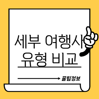 세부 여행사 유형 비교